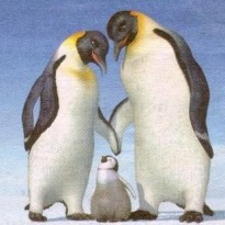 penguins1.jpg